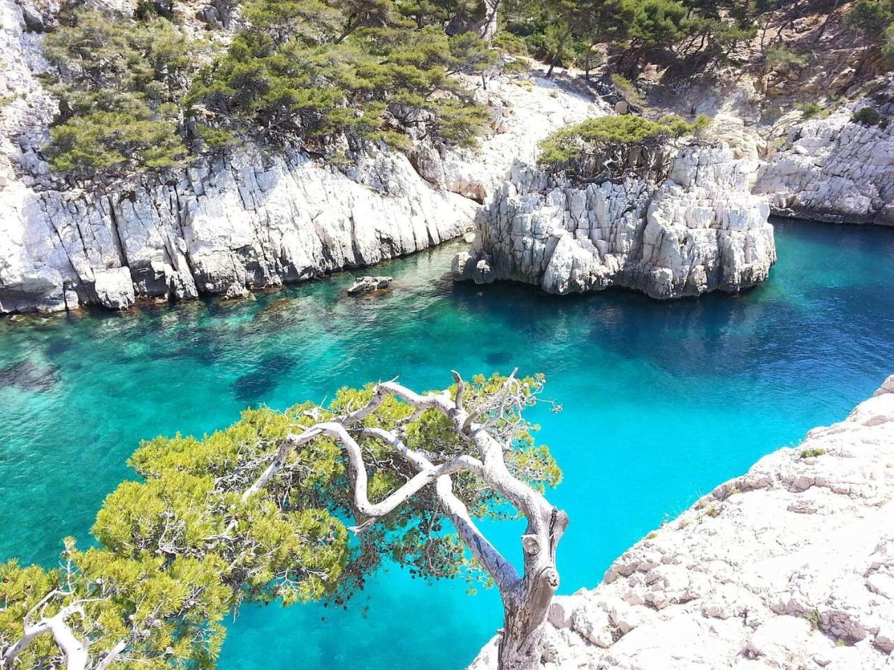 Villa Mathaia Cassis Roquefort-la-Bédoule Esterno foto